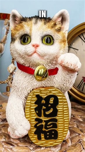 Why Calico Cats Feel Magical