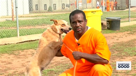 Rescue & redemption: How dogs and inmates are saving each other at Granite Reformatory