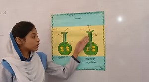 #presentationday Topic: Fertilization of plants Grade:8th #jhangsaddarcampus | Allied School - Jhang Campus