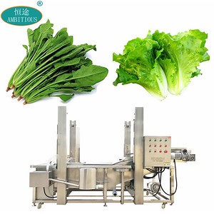 [Hot Item] Automatic Industrial Leafy Vegetable Conveyor Washer Spinach Lettuce Washing Machine