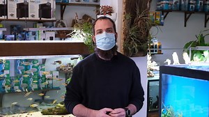 2.7K views · 214 reactions | My Fish Room on Reels | Facebook