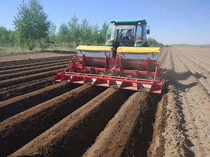 [Hot Item] High Performance Potato Ridger Taro Sweet Potato Garlic Function Customization OEM Service Hongzhu Global Supply Potato Rotary Tiller