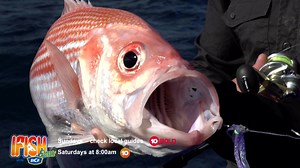 1.2K views · 24 reactions | Catch IFISH today 2pm all states except WA 1pm #ifishtv | Ifish | Facebook
