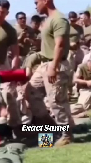 Female Marine vs Male Marine: A Fair Battle