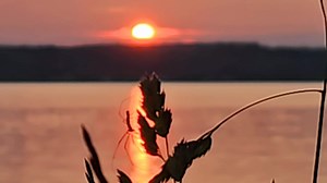 Grey Bruce Explorer & Beyond on Reels