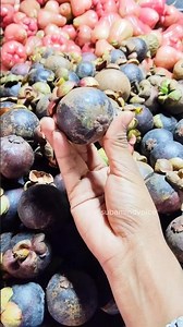 Queen of fruit😁🥰 இந்தபழம் நீங்க சாப்பிட்டிருக்குங்களா😁#fruit #nature #subamindvoice #trendingshorts