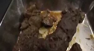 Asian babe puking after she ate poop