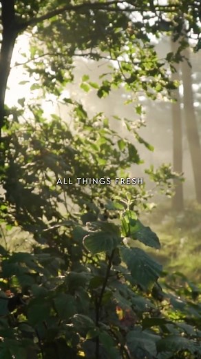 Examine this feeling of freshness and carry that in your spirit I am alive in you And you are alive in me. #AMomentofLight Roma Downey | LightWorkers