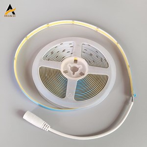 [Hot Item] 2m 3m 5m 10m 20m Per Reel 12 Volt LED Lights Waterproof Free Cut Dotless No Spot Light Strip COB