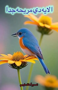 1.7M views · 4K reactions | مريحه جدا ❤️ | تبارك | Facebook