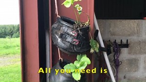 1.7K views · 17 reactions | When your Cavallos wear out, what do you do?  Some folks like to keep them on hand, in case they ever need them to help rehab a hoof condition. Others get more creative... Sue Grice of Equivibes UK needed some hanging strawberry pots this Spring and we think her "Trek Planters" are ingenious!!!  | Cavallo Hoof Boots | Facebook