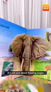 "Stable & Secure: High-Value (Than Banks) Fixed Deposit Opportunities...