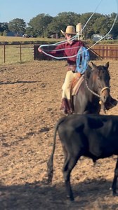 9.1K views · 510 reactions | One rep at a time!! Get some! #310ranchlife #ranchingwomen #ranchroping #biglooproping #stayfocused #keeppushing #showupeveryday #buckaroogear #workhard | 3:10 Ranch Life | Facebook