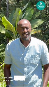 Crop pests & diseases are arguably a farmer’s worst nightmare! Getting assistance from an Agronomist is either hard to come by, or outright expensive for most farmers. Watch this video & learn how Plantix, a FREE AI Agricultural App is solving this problem, one leaf at a time. Don’t forget to download the Plantix App via: plantix.onelink.me/dzgg/gz81we8y and join the growing community of farmers who are farming the smart, Plantix way. #Plantix #PlantixKaro #FarmersOfPlantix #UkulimaSioUshamba | 