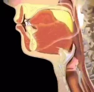 Ingestion process #paknursesdiaries | Pak Nurses Diaries