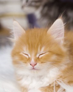 WARNING: cuteness overload 🥹 #TestCase | BNNVARA