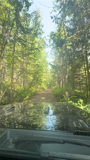Lookout over Shuswap lake, British Columbia . #lake #clouds #explore #fyp #nature #outdoors #lake
