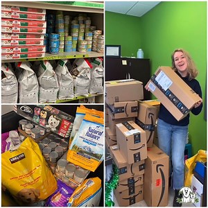 4.3K views · 429 reactions | BREAKING MEWS!!! ⚡ Look what the...Uhh… Amazon delivery person dragged into Safe Haven this week! On top of that, our donation bin is filling up too! We put out the call and YOU CAME THROUGH FUR US and we’re going mutts with gratitude!  This is positively amazing! THANK YOU so much for your kindness and generosity!  #AARCS #ThankMew #FeedTheAnimals | Alberta Animal Rescue Crew Society - AARCS | Facebook