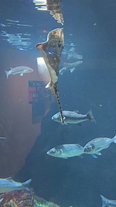 1.4K views | Monsieur Mathieu on Reels | Facebook