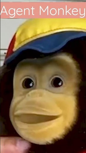 Most popular masturbation technique