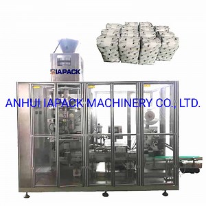 [Hot Item] Automatic Grain Bag Forming Filling Sealing Packaging Machine