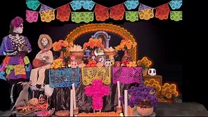 🎃💀 Tenemos una cita el sábado 07 de octubre del 2023 en punto de las 3:00 pm ‼️ a nuestro Taller “Pan de muerto” 💀 #patiouniversidad ¡Momentos únicos! Síguenos y entérate de todas nuestras actividades de fin de semana ❤️❤️❤️ | Patio Universidad