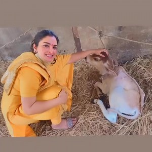 33K views · 3.1K reactions | Too Short Films on Reels | Facebook