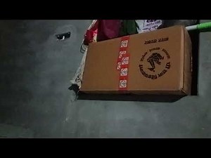 न्यू वायरल वीडियो