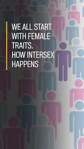 We all start with female traits. How ‘intersex’ happens