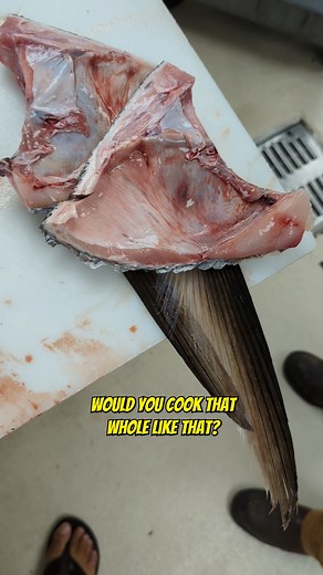 2.8K views · 22 reactions | "Play with your food you are an adult and...