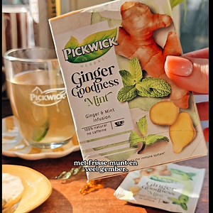 17 reactions | Heb jij Pickwick Ginger Goodness Mint al geprobeerd? Krachtige gemberthee met een vleugje munt ☕️ | Pickwick Nederland | Facebook