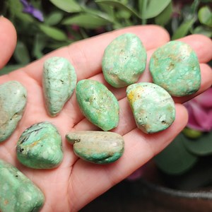 Variscite Crystal - Tumbled Variscite - Variscite Stone - Natural Variscite - Polished Variscite - Variscite Gemstone - Variscite Specimen - Etsy