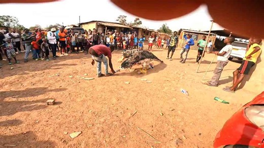 Attacked by demons in the slums of Zimbabwe