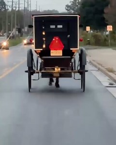 Getting an amish escort into Middlebury Indiana | Tony Rogers