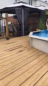 Good morning 😊 | Husky Overload