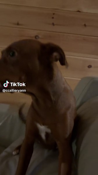 Nom Nom Nom: Ellie's Scary Moment