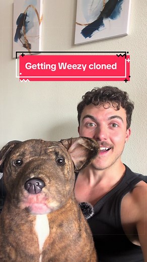 Unboxing Weezy Clone from Cuddle Clones