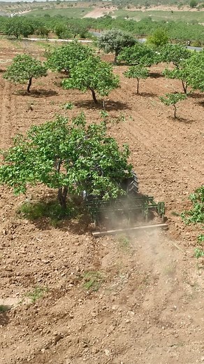 #ferrari #ferraritractors #şanlıurfa | Traktör Sevenler