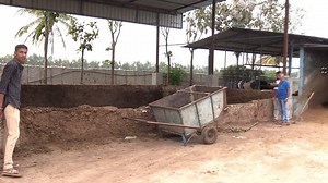 1M views · 27K reactions | Conversation on buffalo milk production and proper method of constructing cow hut | My Nature India Foundation | Facebook