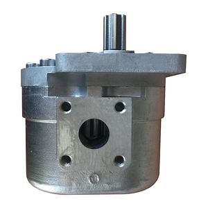 [Hot Item] CBN-E36 803004123 15080006 Variable Speed Pump for Sale