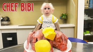 Master Chef BiBi monkey help Dad cooking birds porridge for eat tomorrow, toothbrush & sleep act | Monkey Show Daily