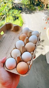  讀 Simple Eggs . Let’s talk about .eggs by @simpleeggs4u #egg .eggs...