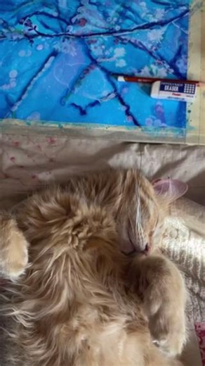 Pacific Coast Artisans's artwork deserves a beautiful canvas, and our postcards delivered! We love helping artists showcase their work in unique ways. What would you paint on a postcard? #PrintPlaceCommunity #postcards | PrintPlace | Facebook