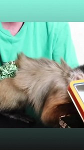 16K views · 1K reactions | MonkeyHappy has some broccoli in his #starwars #lunchbox | MonkeyBoo | Facebook