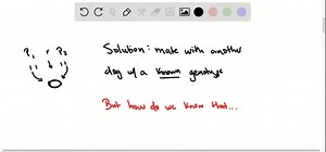 SOLVED:Hairlessness in American rat terriers is recessive to the… | Numerade