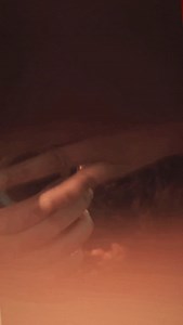 65K views · 173 reactions | Ek Din Jhagda Ek Din Pyar殺❤️﫰… | Sona Sona | Facebook