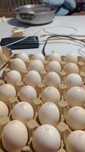 103K views · 1.4K reactions | Bornok Ismali on Reels | Facebook