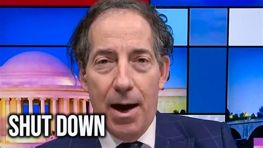 Jamie Raskin RIPS APART Republicans In Trump Smackdown Of The Year | The Damage Report