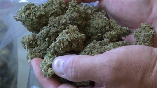 NBC MT Today: Revising marijuana laws, HuHot fire suspect bail set, Butte robbery arrest