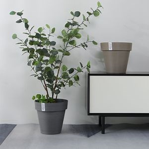 [Hot Item] Wholesale Garden Suppliers Plastic Luxury Tall Self Watering Plant Vase Wire Drawing Flower Pot & Planters for Home Decor